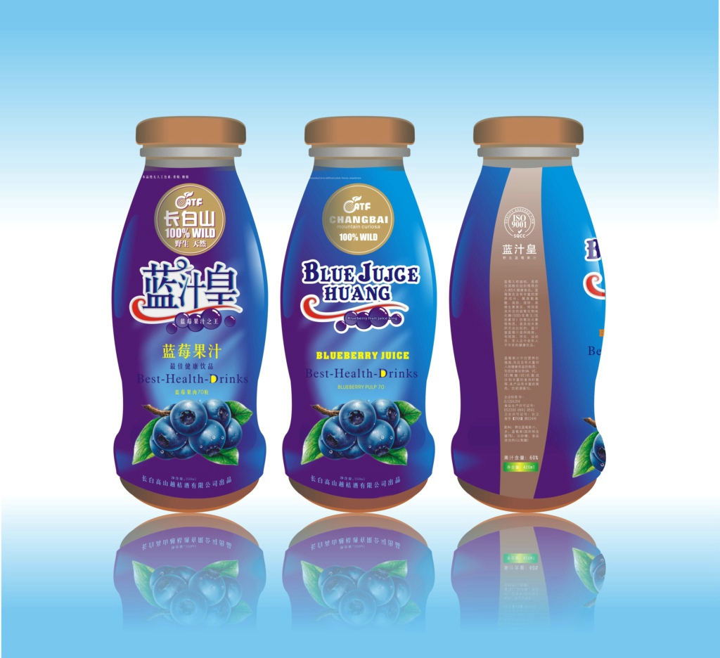 蓝莓饮料包装设计